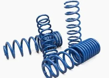 Aev Conversions | 2019+ Jeep Gladiator Jt 3 Inch High Capacity Coil Springs - Gas Engine 1