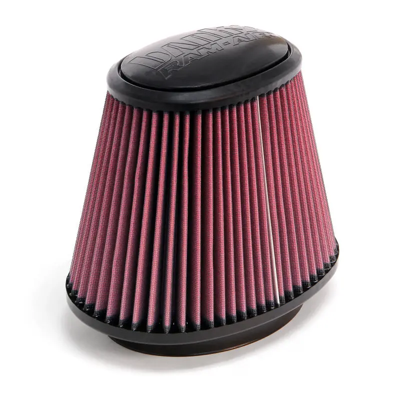Banks Power | Various Ford & Dodge Diesels Ram Air System Air Filter Element 1
