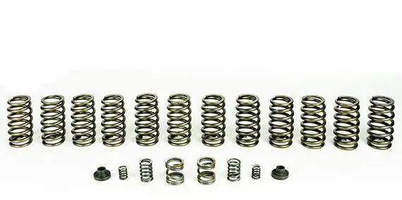 Pacbrake | 1994-1998 Dodge Ram 5.9L 12V Cummins Spring Kit 12 Hd Valve Springs 1