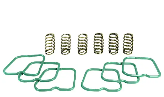 Pacbrake | Basic Spring Kit 6 Springs For 94-98 Dodge Cummins 12 Valve Engine 1