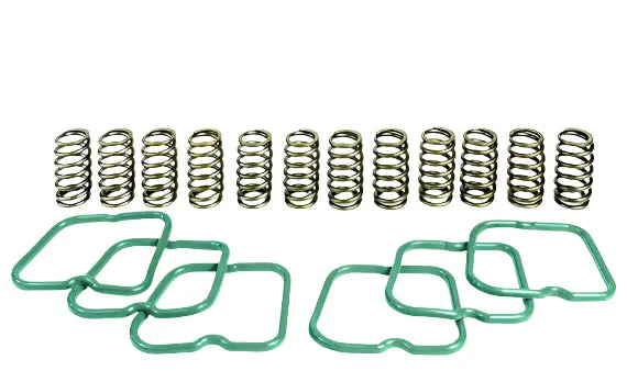 Pacbrake | Basic Spring Kit 12 Springs For 94-98 Dodge Ram 2500 / 3500 Cummins 12 Valve Engine 1