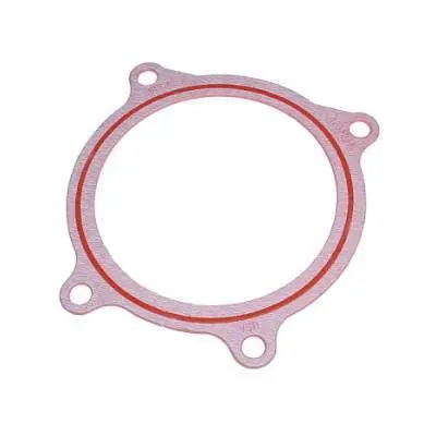 Cummins | 2007.5-2018 Dodge Ram 6.7L Cummins Throttle Valve Gasket 1
