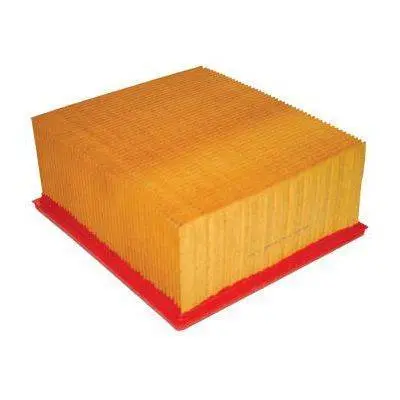 Fleetguard | 2007.5-2023 Dodge Ram 6.7L Cummins Air Filter 1