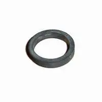 Fleetguard | Cummins Sealing Ring (Center Post) 1