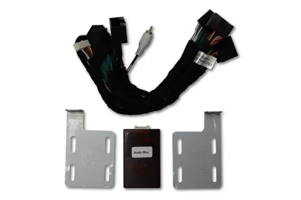 Linkswell | 2015-2020 Ford F150 / 2017-2019 Super Duty Bang & Olufsen Adapter 1