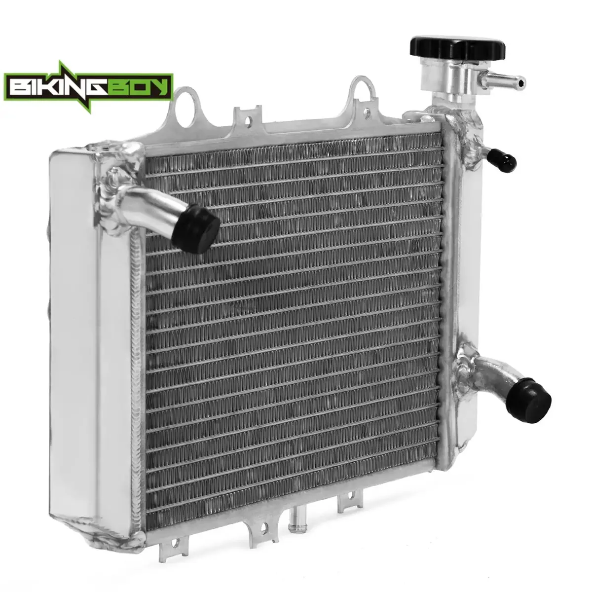 Bikingboy For Bmw G310gs 18 19 20 21 22 G310r 2017-2022 Engine Radiator Cooling Water Cooler G 310 Gs R Polished 17118558350 1