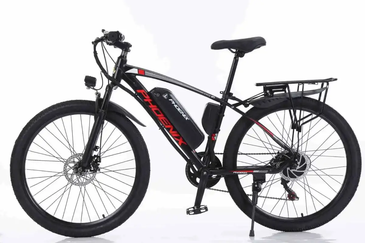 Electric Bike 1000W Motor Fat Tire Mountain Electric Bicycle Beach Snow Ebike 48V 13Ah Hidden Battery Bike 1