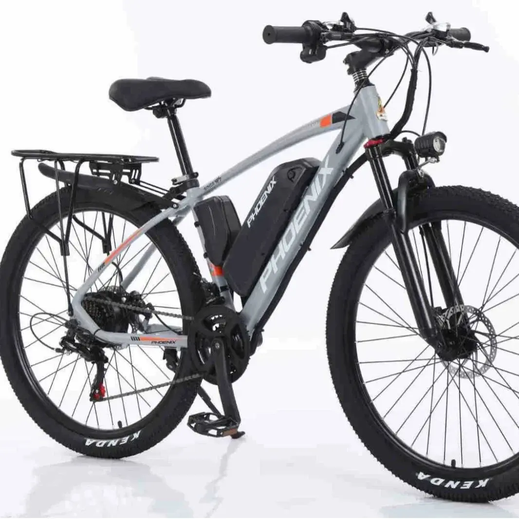 Electric Bike 1000W Motor Fat Tire Mountain Electric Bicycle Beach Snow Ebike 48V 13Ah Hidden Battery Bike 2