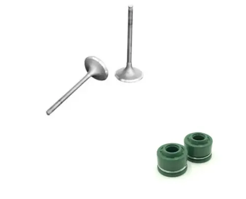 Shindy Japan Honda Fatcat Tr200 1986–1987 Intake & Exhaust Valve Set W/ Seals – Oem‑Style Replacement 1