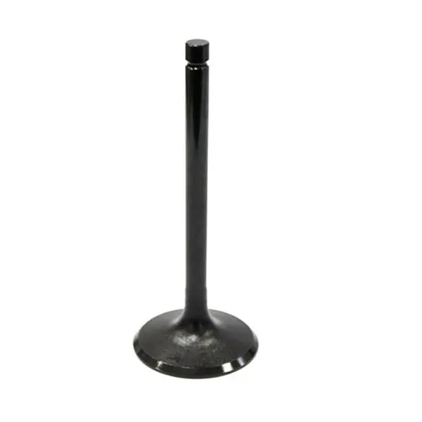 Kawasaki Ksf400 Kfx400 Suzuki Ltz400 Arctic Cat Dvx400 Intake Exhaust Valve Oem #12004-S004 Choose (Sold Each) 1