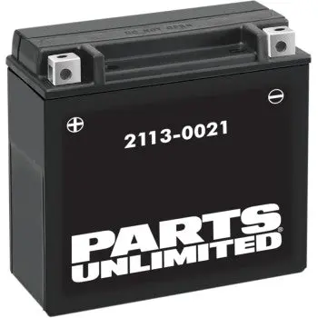 Parts Unlimited 2113 0021 Agm Battery Ytx20h Bs Maintenance Free High Power Fits Arctic Cat Zr 6000 7000 8000 9000 Bearcat Pantera Yamaha Sidewinder Moto Guzzi Audace Harley Fxr Sportster Wet Jet 1