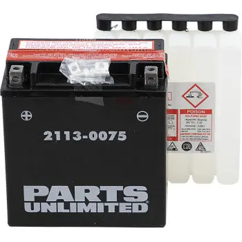 Parts Unlimited 2113 0075 Agm Battery Ytx20ch Bs Maintenance Free High Power Fits Polaris Rmk Switchback Indy Titan Voyageur Rush Bmw K1600b R1200rt S1000rr Triumph Rocket 3 Kawasaki Vulcan 1700 Suzuki Boulevard C90 C109 M90 M109r Vinson 1