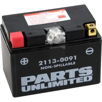 Parts Unlimited 2113 0091 Factory Activated Agm Battery Ytz12s High Performance Fits Rc51 Super Blackbird Super Hawk Shadow Spirit Silver Wing Super Tenere 1