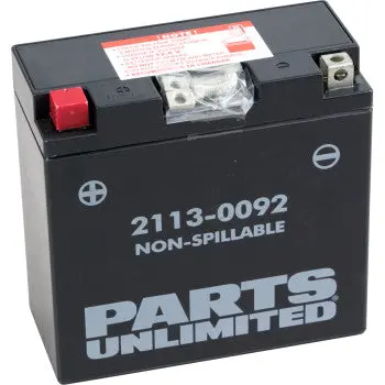 Parts Unlimited 2113 0092 Factory Activated Agm Battery Yt14b4 Maintenance Free Fits Yamaha Fjr1300 Road Star Silverado Raider Roadliner Stratoliner V Star 1100 Fz1 1