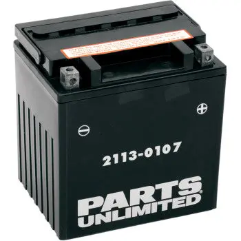 Parts Unlimited 2113 0107 Agm Battery Yix30l Bs Maintenance Free Fits Harley Touring Road Glide Street Glide Ultra Limited Tri Glide Cvo Polaris Rzr Xp 1000 Rs1 Cfmoto Zforce Uforce Can Am Defender Arctic Cat Wildcat 1