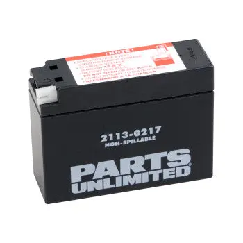Parts Unlimited 2113 0217 Factory Activated Agm Battery Yt4b Bs Maintenance Free Fits Drz50 Drz70 Ttr50e Ttr90e Ttr110e Sr400 Vino 50 1