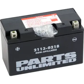 Parts Unlimited 2113 0218 Factory Activated Agm Battery Yt7b Bs High Performance Fits Panigale 1199 899 Klx400 Drz400 Daytona 675 Ttr250 Zuma 125 1