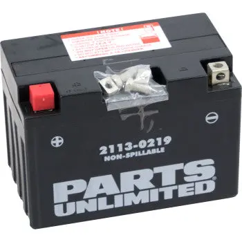 Parts Unlimited 2113 0219 Factory Activated Agm Battery Yt12a B High Performance Fits Tuono V4 Rsv4 Vitpilen Svartpilen Z1000 790 Adventure Duke Gsx R Hayabusa Bandit Sv650 1