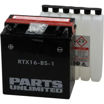 Parts Unlimited Rtx16 Bs 1 Agm Battery Ytx16 Bs 1 High Power Maintenance Free Fits Vulcan 1700 Voyager Vaquero Nomad Bmw R1200rt S1000rr Suzuki Boulevard C109 M90 M95 Vinson 500 1