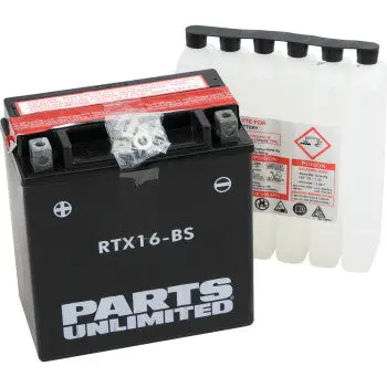 Parts Unlimited Rtx16 Bs Agm Battery Ytx16 Bs Maintenance Free High Power Fits Vulcan 1700 Voyager Vaquero Nomad Bmw R1200rt S1000rr Suzuki Boulevard C109 M90 M95 Vinson 500 1
