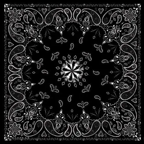 Zan Headgear Premium Cotton Bandanna 100 Percent Cotton Sewn Edges 22 X 22 Inch Multi Wear Motorcycle Atv Face Head Wrap Choose Design 1