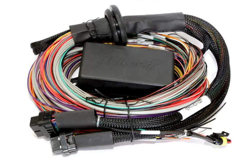 Haltech Elite 1000 Ecu Wiring Harness – 8-Foot Premium Universal Wire-In Kit 1
