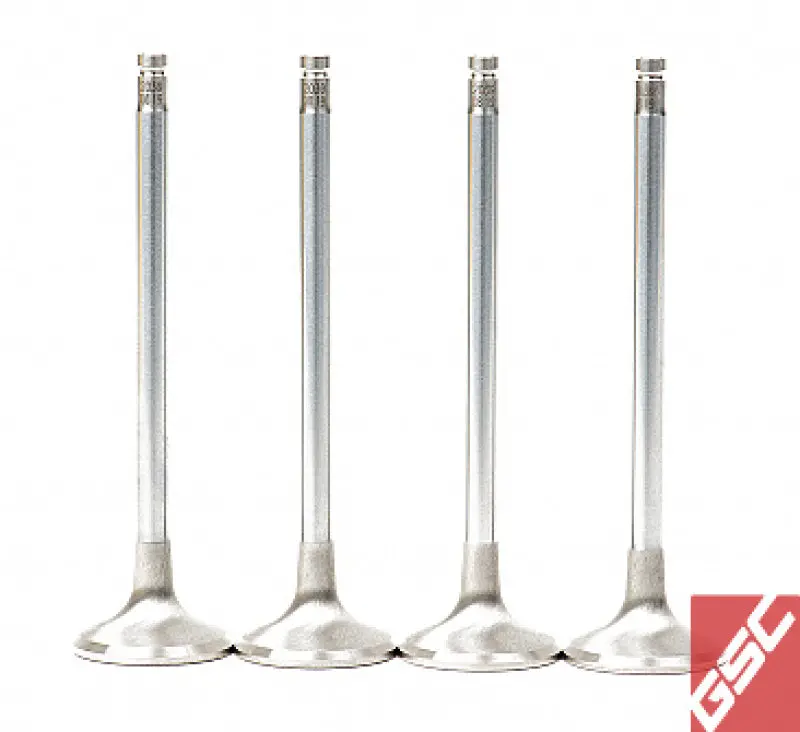 Gsc Power-D Vtec Exhaust Valves For Honda B-Series (B16A/B17A/B18C) – 28Mm Head, 6Mm Stem, 8-Piece Set 1